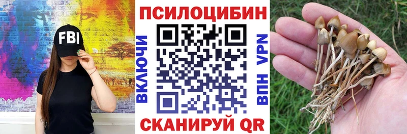 Галлюциногенные грибы мухоморы  OMG ONION  Гаврилов-Ям  закладки 
